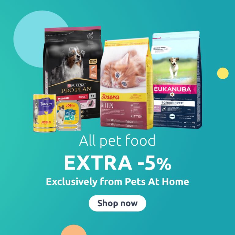 Promo grid image